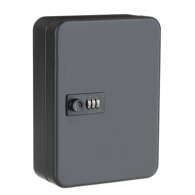 Ключница настенная металлическая с кодовым замком SAFEBURG Key-24 Black Ключница настенная металлическая с кодовым замком SAFEBURG Key-24 Black
